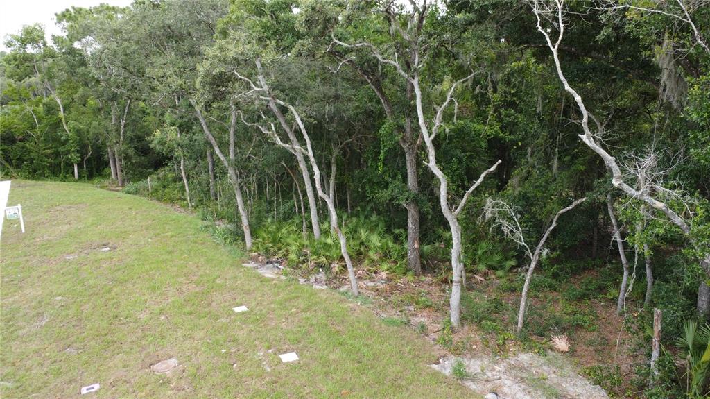 An aerial view of a grassy residential lot bordering a dense wooded area — BAYWOOD STREET, ALTAMONTE SPRINGS, FL