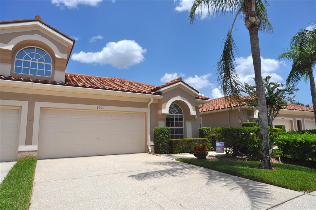 3891 TIMBER RIDGE COURT