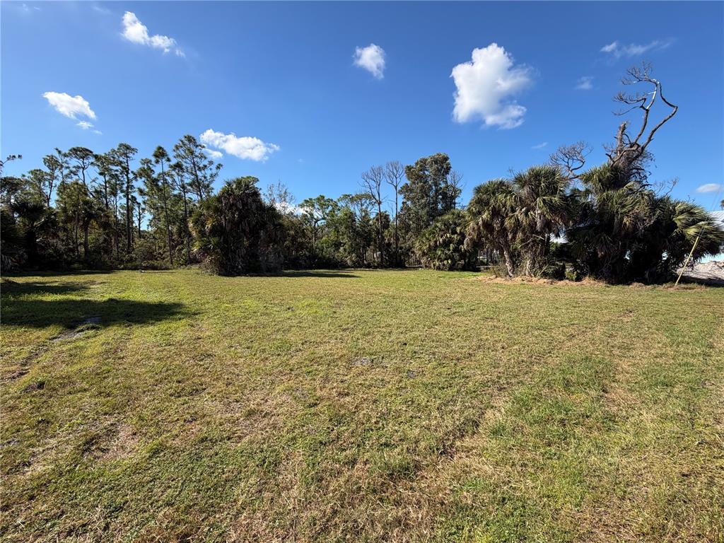 A grassy, vacant lot is surrounded by trees and palm trees under a blue sky — 24501 YACHT CLUB BOULEVARD, PUNTA GORDA, FL