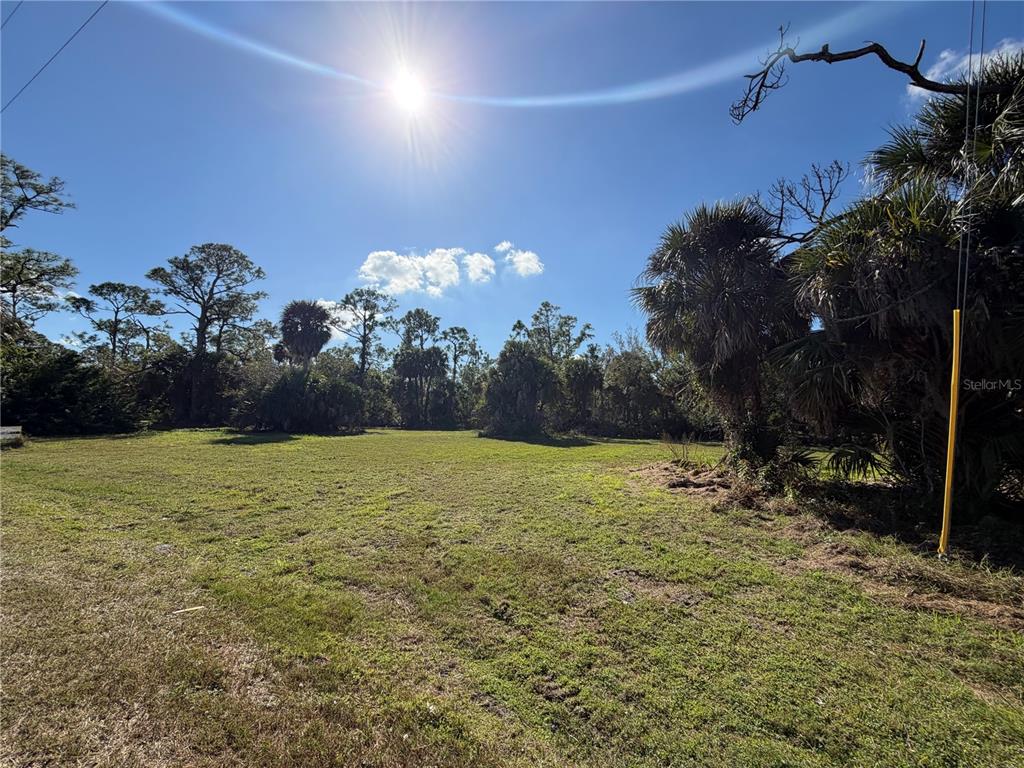 A grassy, vacant lot features scattered palm trees and dense vegetation under a bright sun — 24501 YACHT CLUB BOULEVARD, PUNTA GORDA, FL