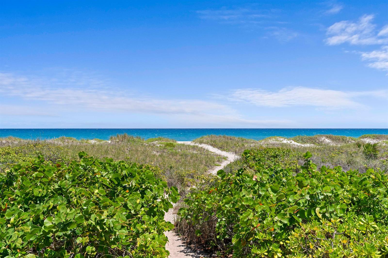 A sandy path leads through coastal dunes toward the ocean under a bright blue sky — 1554 N Ocean Way, Palm Beach FL 33480, PALM BEACH, FL