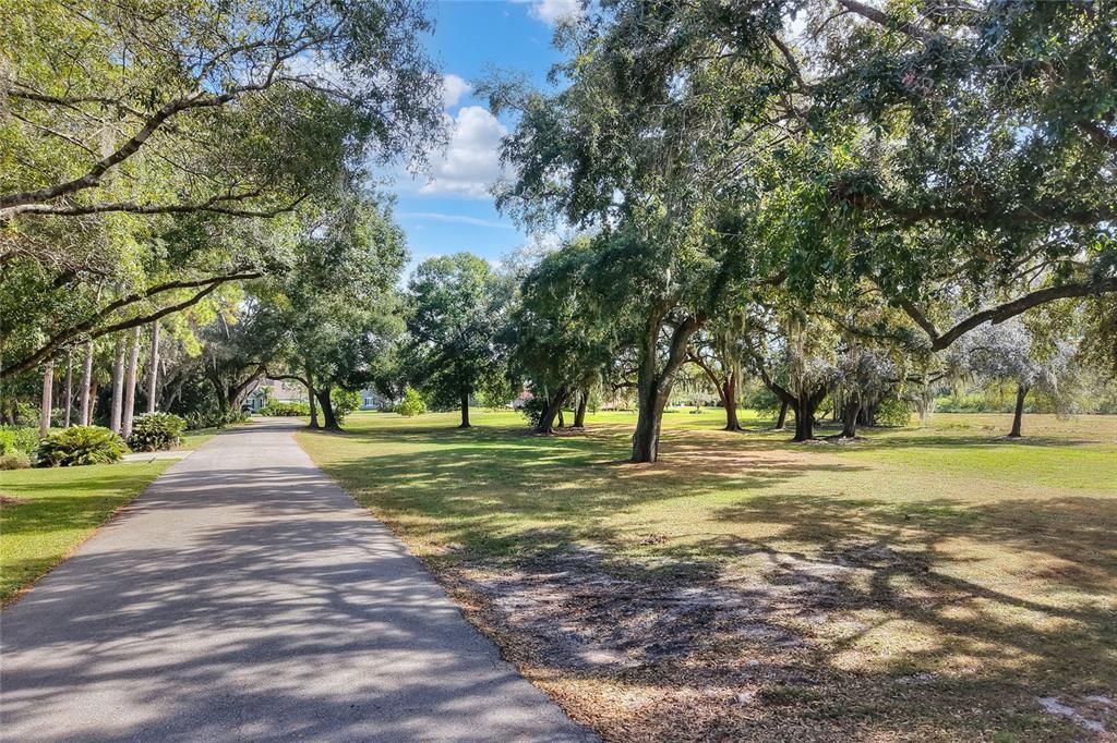 A paved driveway leads through a grassy yard shaded by large, mature oak trees — ISLAND WAY, WINTER HAVEN, FL