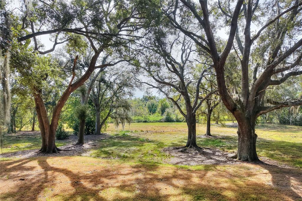 A grassy yard with several large, mature oak trees under a bright, sunny sky — ISLAND WAY, WINTER HAVEN, FL