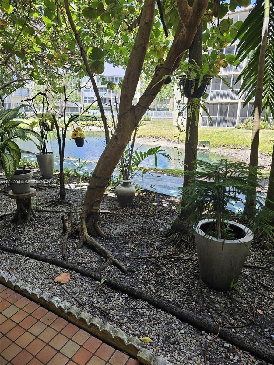 A gravel patio area features potted plants and trees overlooking a small canal and buildings — 1670 NE 191st St # 3, Miami FL 33179, MIAMI, FL