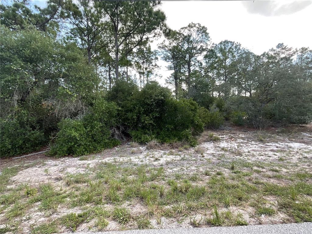 A vacant, sandy lot features dense green shrubs and tall pine trees in the background — 515 CONCERT DRIVE, LAKE PLACID, FL