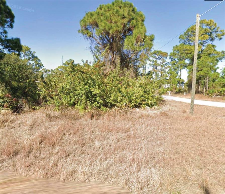 A vacant, grassy lot features a large central tree surrounded by dense shrubs and brush — 732 SANTA LUCIA AVENUE S, LEHIGH ACRES, FL