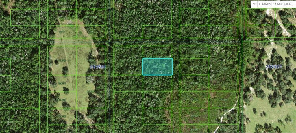 This is an aerial map showing a highlighted rectangular plot of land surrounded by trees — COMMONWEALTH AVE N, POLK CITY, FL