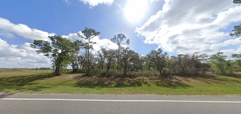 A grassy roadside lot features a cluster of mature trees under a bright, cloudy sky — COMMONWEALTH AVE N, POLK CITY, FL