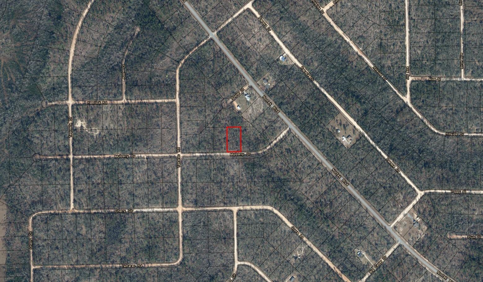An aerial map shows a rectangular property lot highlighted in red along Mulberry Drive — 0 Mulberry Drive, FL 32448, FL