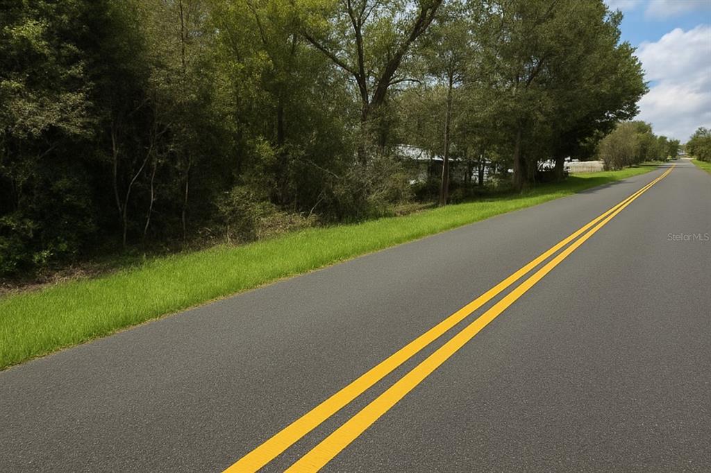 A paved road with double yellow lines runs alongside a grassy area and dense trees — 0 RAINBOW LAKES BOULEVARD, DUNNELLON, FL