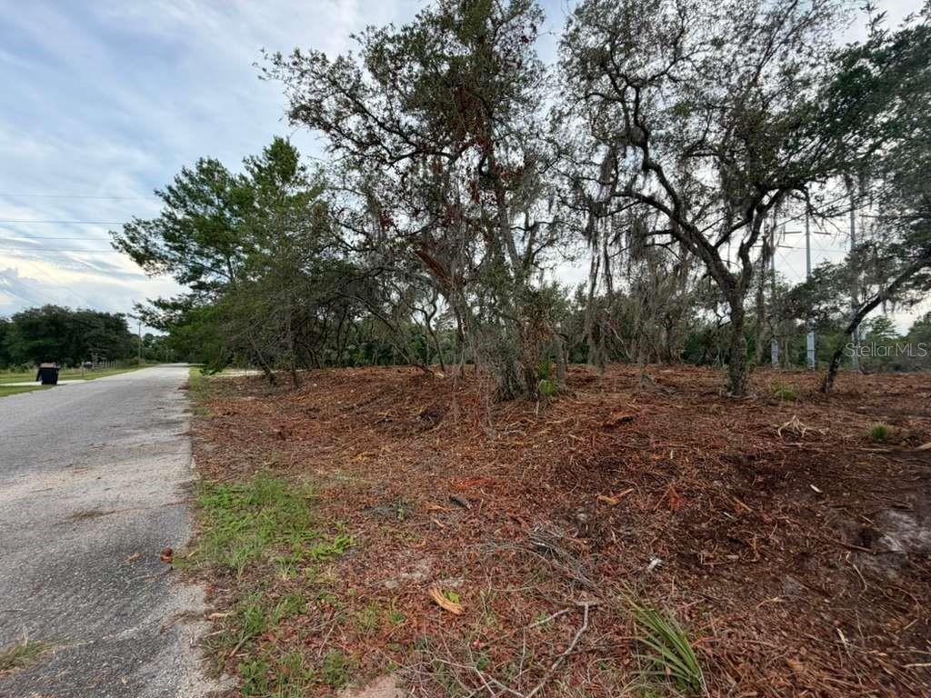 A view of a cleared, wooded residential lot adjacent to a paved road — SEQUOIA TRAIL, OCKLAWAHA, FL