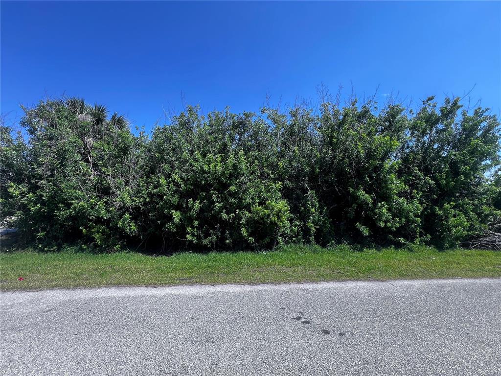 11082 PENDLETON AVENUE, ENGLEWOOD, FL — photo 2 of 2