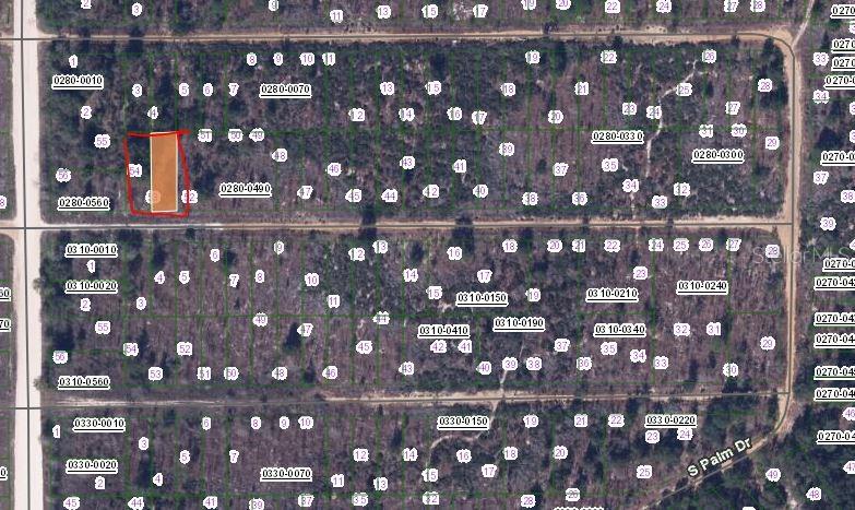 BIRCH STREET, INTERLACHEN, FL — photo 2 of 3