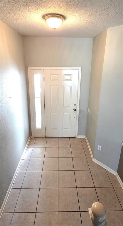 A tiled entryway features a white front door with a sidelight and a ceiling light — 2729 CONCH HOLLOW DRIVE, BRANDON, FL