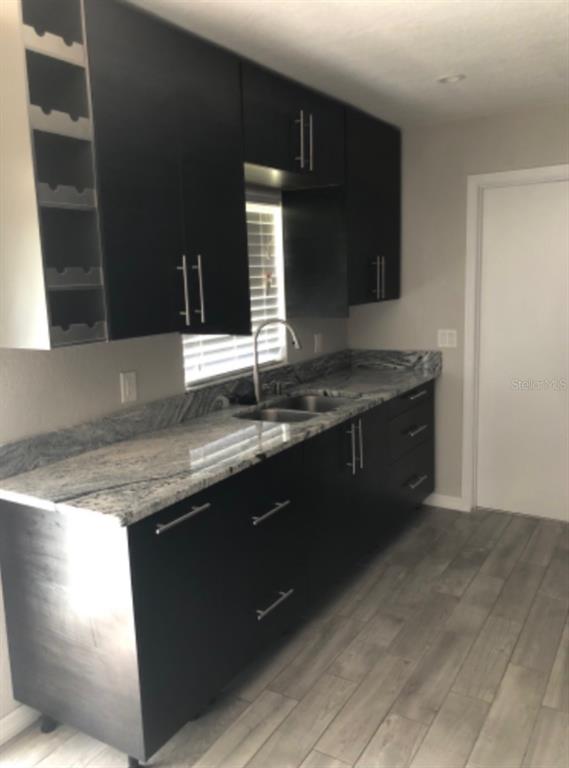 A kitchen features dark cabinets, a granite countertop, a stainless steel sink, and wood-look flooring — 2115 DARDANELLE DRIVE, ORLANDO, FL