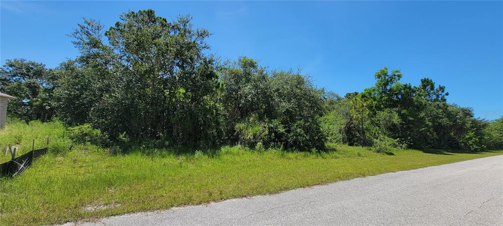 A paved road runs alongside a vacant, wooded lot with dense green vegetation — 10038 BOYLSTON STREET, PORT CHARLOTTE, FL