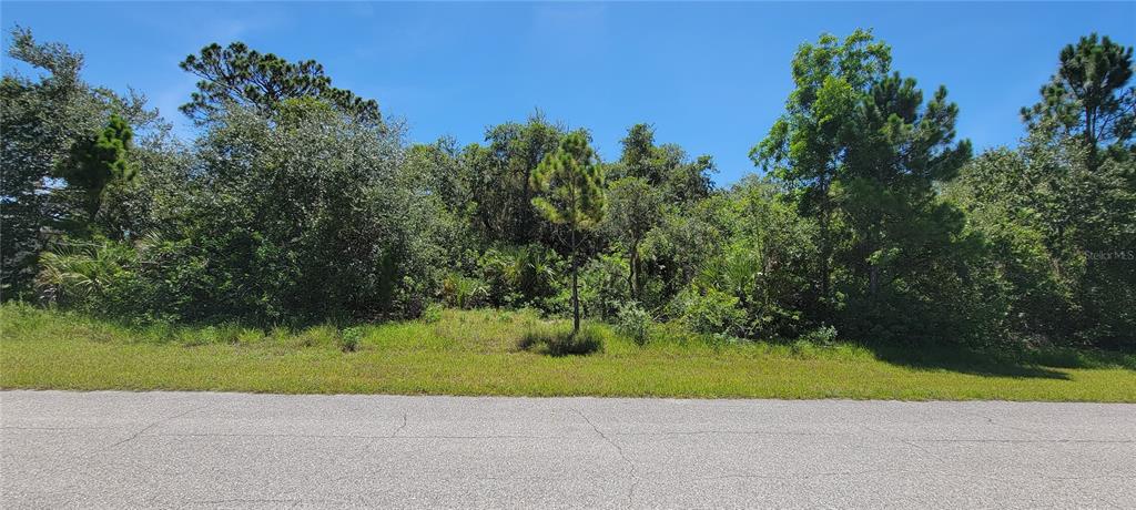 A paved road runs in front of a densely wooded, undeveloped residential lot — 10038 BOYLSTON STREET, PORT CHARLOTTE, FL