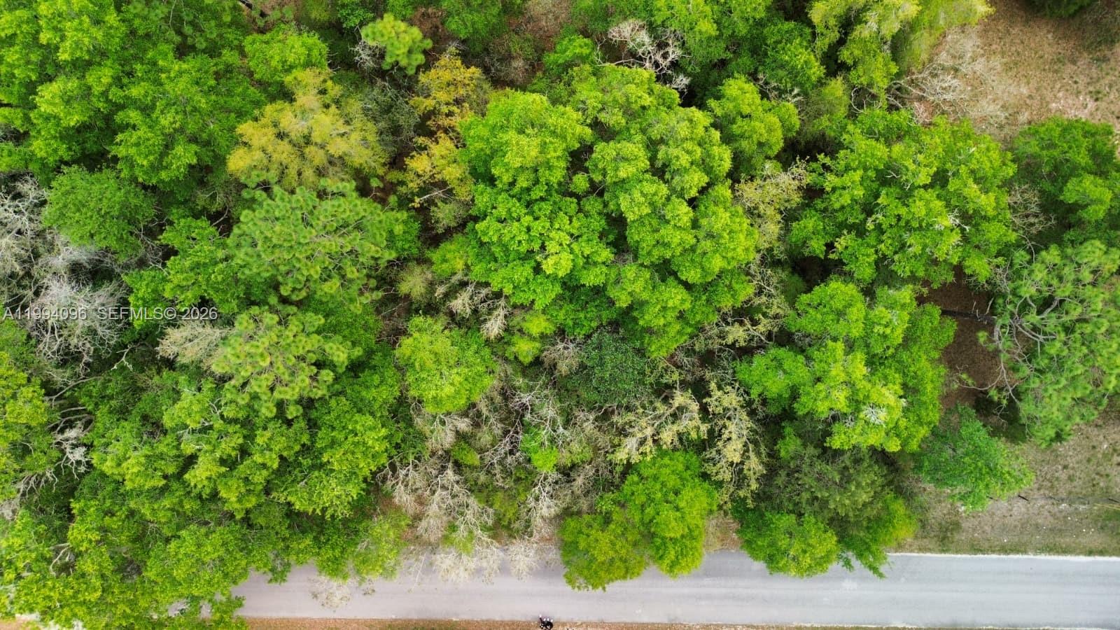 An aerial view shows a dense wooded area bordering a paved road — Lot 29 Nw 120th Ave, Ocala FL 34482, OCALA, FL