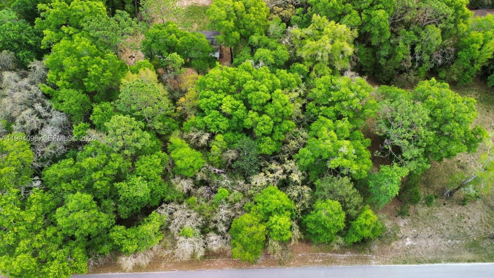 An aerial view shows a densely wooded, undeveloped lot bordering a paved road — Lot 29 Nw 120th Ave, Ocala FL 34482, OCALA, FL