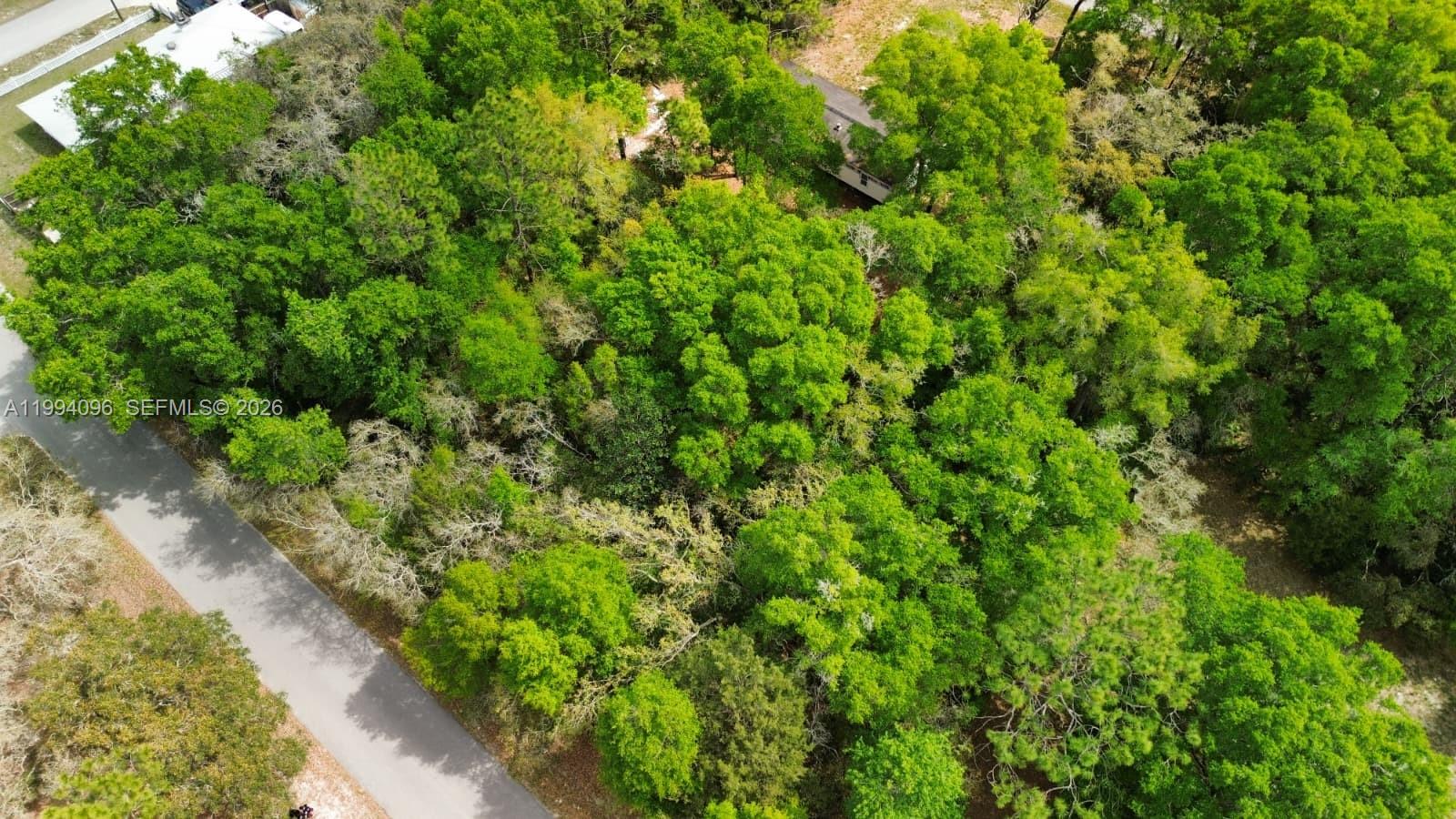 An aerial view shows a wooded lot with a small house nestled among the trees — Lot 29 Nw 120th Ave, Ocala FL 34482, OCALA, FL