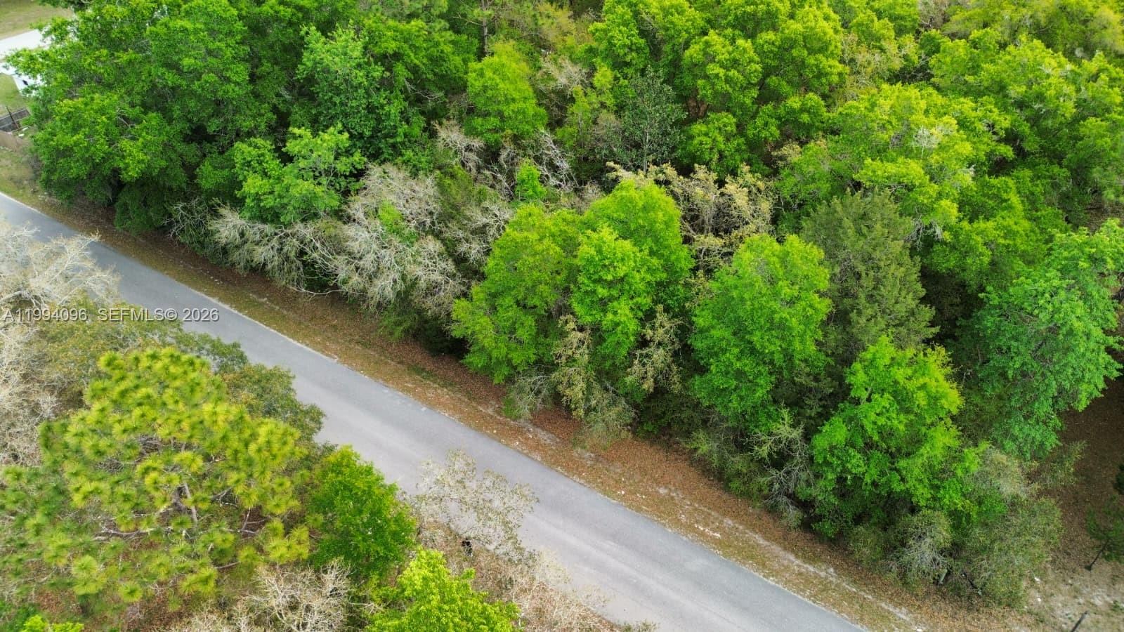 An aerial view shows a paved road running alongside a dense, wooded forest area — Lot 29 Nw 120th Ave, Ocala FL 34482, OCALA, FL