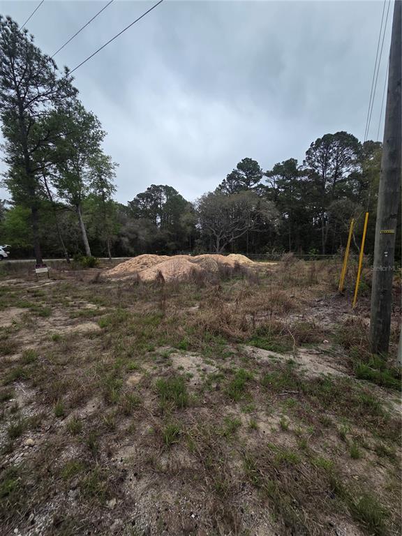 127 SEQUOIA TRAIL, OCKLAWAHA, FL — photo 2 of 9