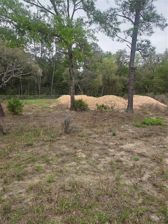 127 SEQUOIA TRAIL, OCKLAWAHA, FL — photo 3 of 9