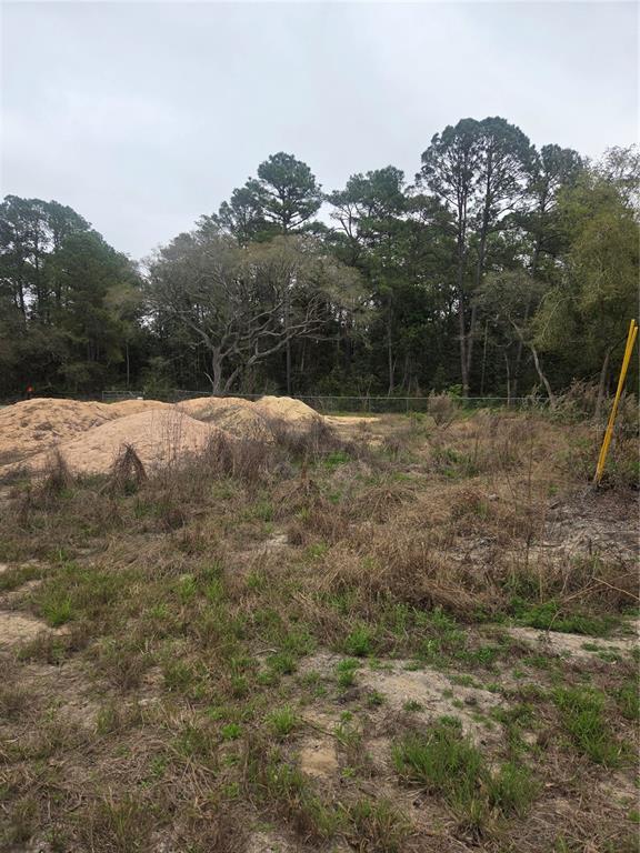 127 SEQUOIA TRAIL, OCKLAWAHA, FL — photo 4 of 9