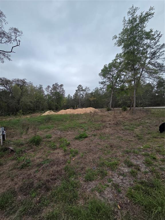 127 SEQUOIA TRAIL, OCKLAWAHA, FL — photo 5 of 9