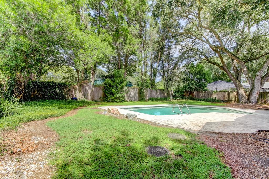 A backyard features a swimming pool, a concrete deck, and a wooden fence surrounded by trees — 10406 RECLINATA LANE, TAMPA, FL