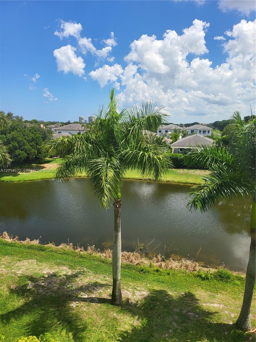 A view of a pond and palm trees from an elevated outdoor space — 3640 Whitehall Dr # 406, West Palm Beach FL 33401, WEST PALM BEACH, FL
