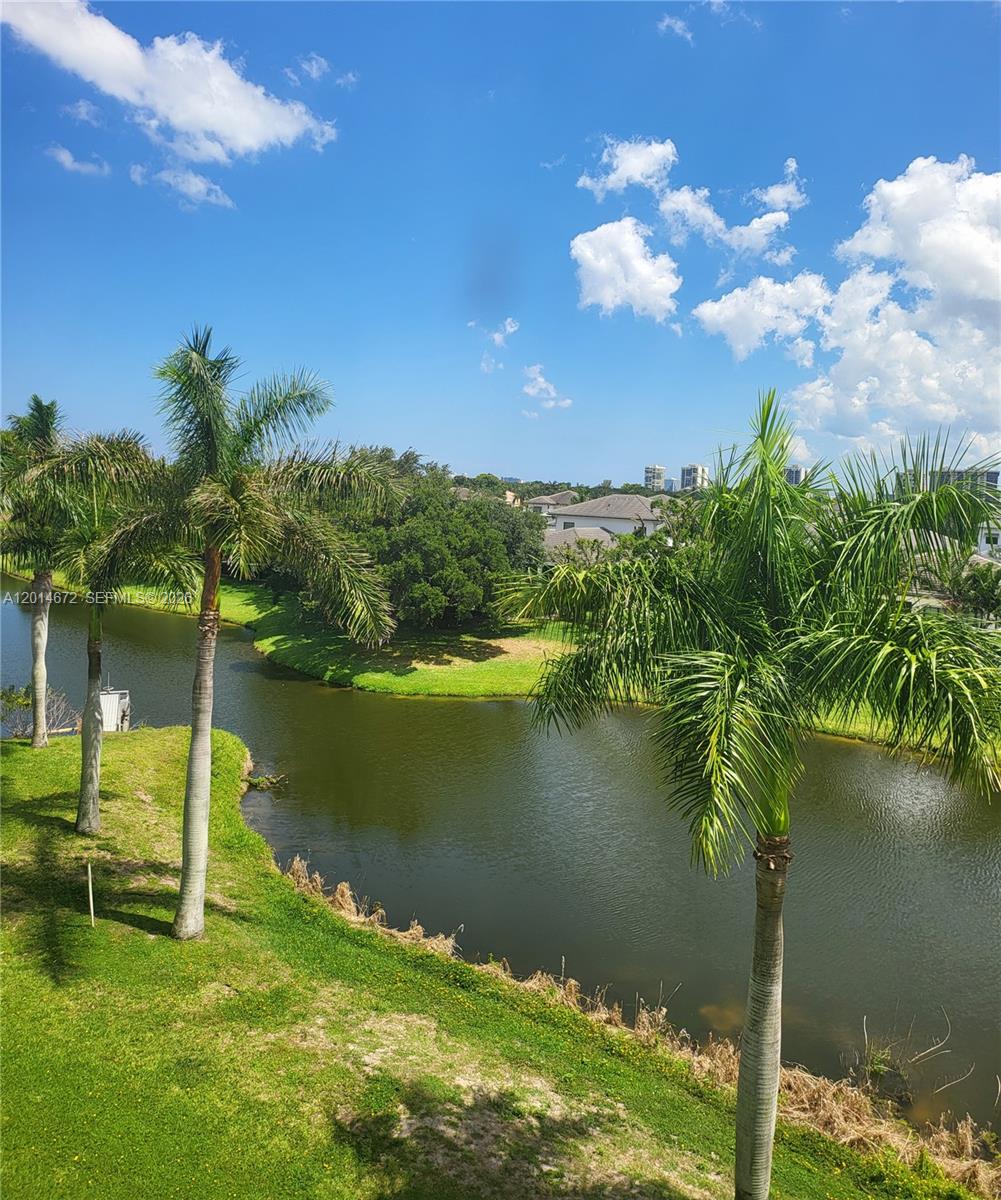 A view of a pond, palm trees, and residential buildings under a blue sky — 3640 Whitehall Dr # 406, West Palm Beach FL 33401, WEST PALM BEACH, FL