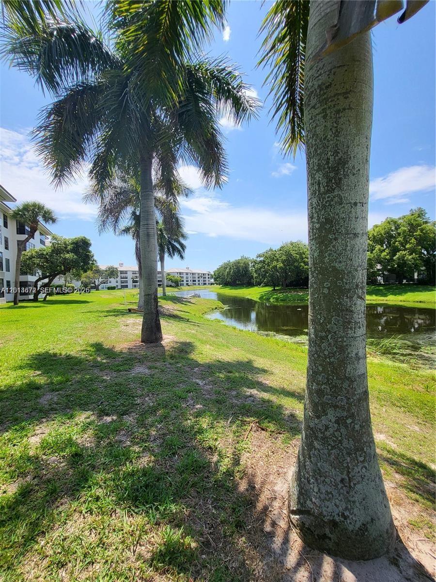 A view of a grassy lawn, palm trees, and a canal near apartment buildings — 3640 Whitehall Dr # 406, West Palm Beach FL 33401, WEST PALM BEACH, FL