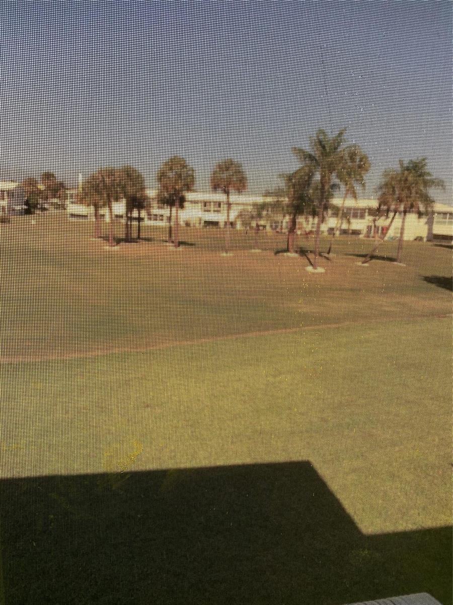 A view of a grassy lawn and palm trees seen through a window screen — 2751 Golf Boulevard # 2028, Pompano Beach FL 33064, POMPANO BEACH, FL