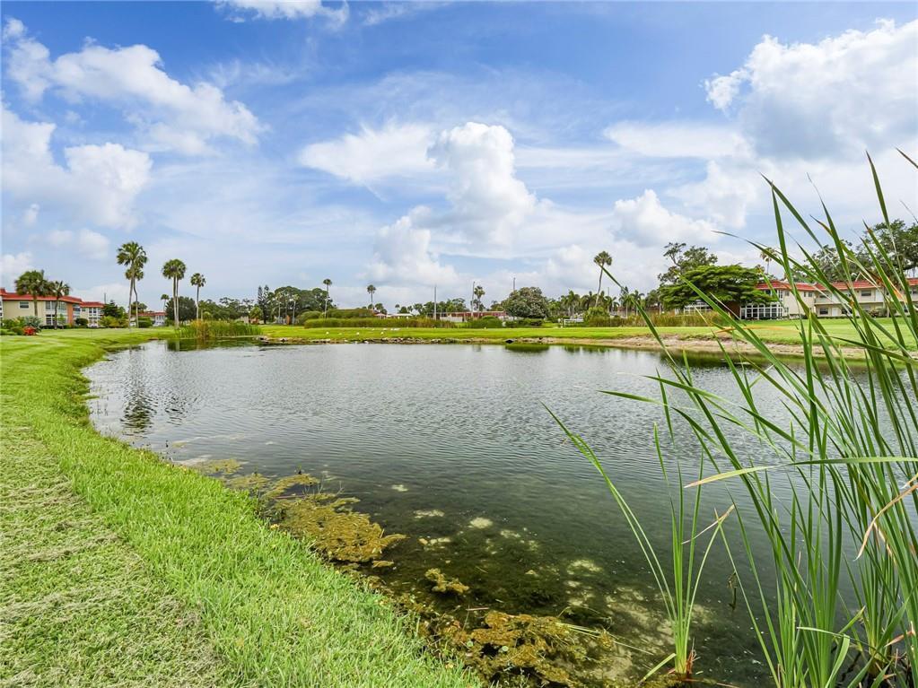 A pond sits in the foreground of a grassy landscape with palm trees and buildings — 97 Spring Lake Drive # 104, Vero Beach FL 32962, VERO BEACH, FL