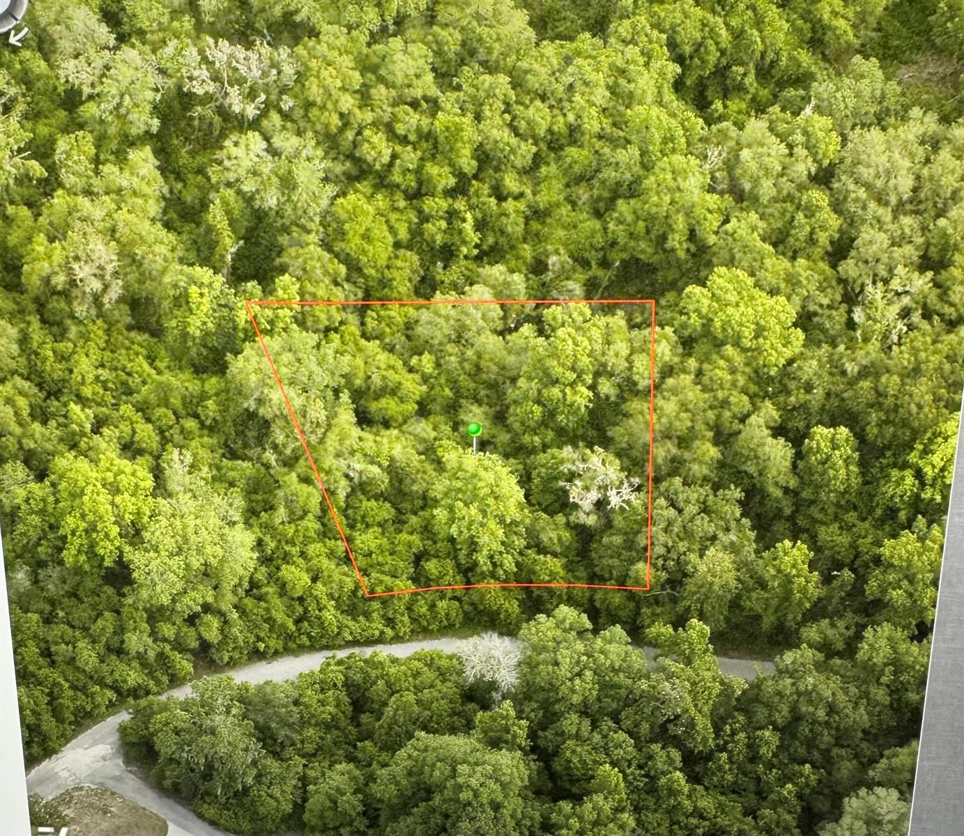 6761 E Dogwood Hammock Drive, Inverness FL 34453