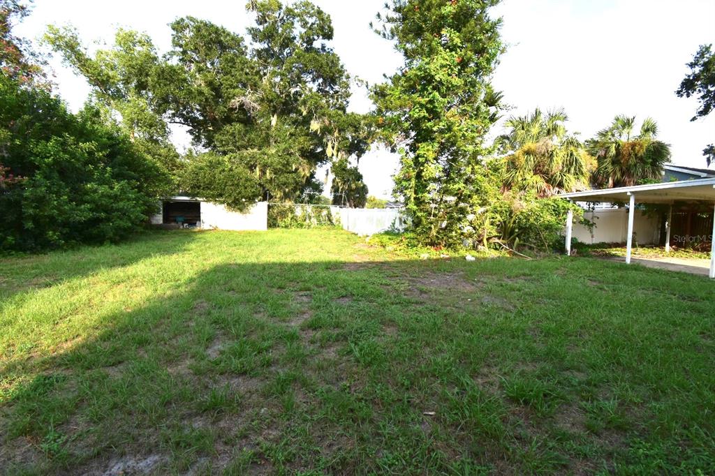 A grassy backyard features a small shed, mature trees, and a covered patio area — 613 CHESTNUT STREET, OLDSMAR, FL