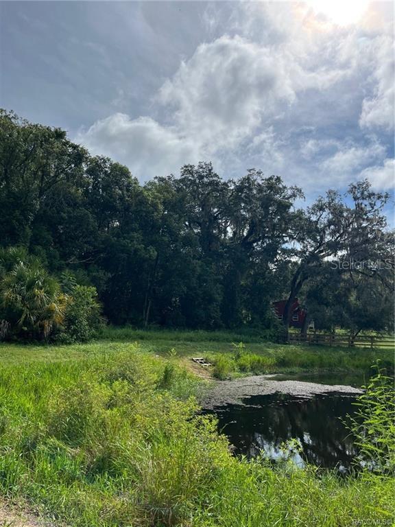 A pond sits in the foreground of a grassy field bordered by mature trees — 4780 S SILVER FOX TERRACE, INVERNESS, FL