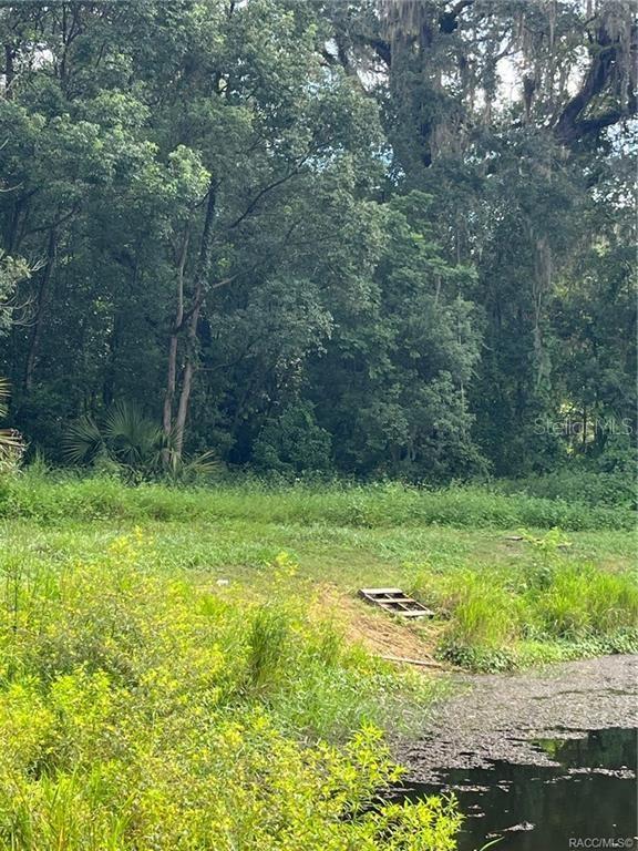 A grassy clearing sits beside a small pond in front of a dense, wooded area — 4780 S SILVER FOX TERRACE, INVERNESS, FL