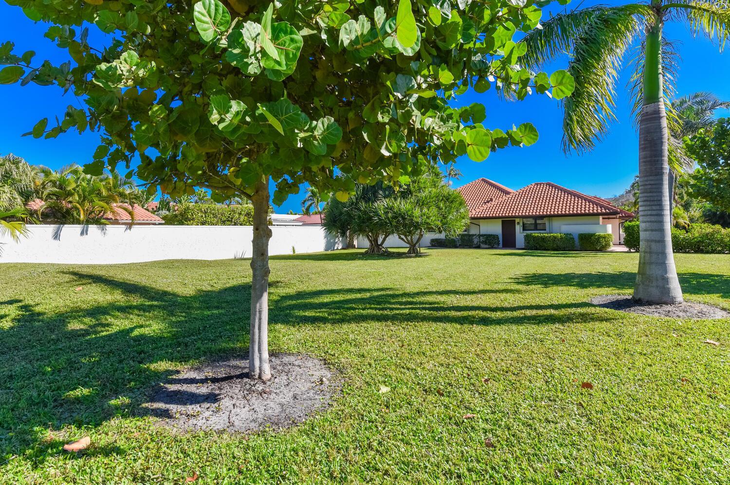 A grassy yard with trees and a palm tree in front of a single-story house — 1469 Vía Privada, Jupiter FL 33477, JUPITER, FL