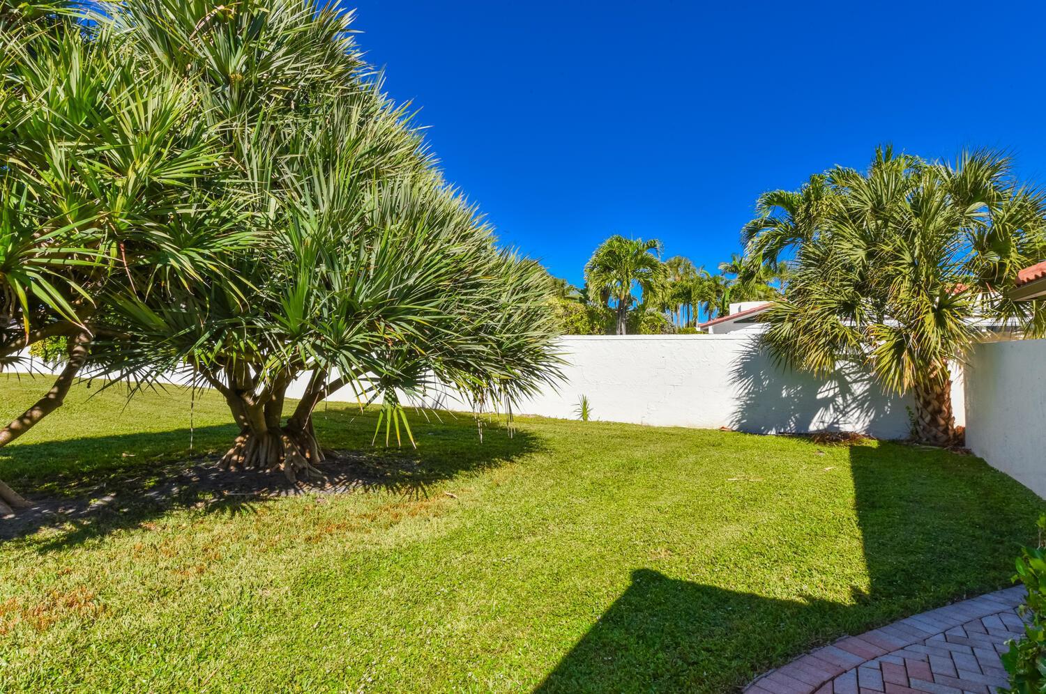 A grassy backyard features a large palm tree, a white wall, and a paved walkway — 1469 Vía Privada, Jupiter FL 33477, JUPITER, FL