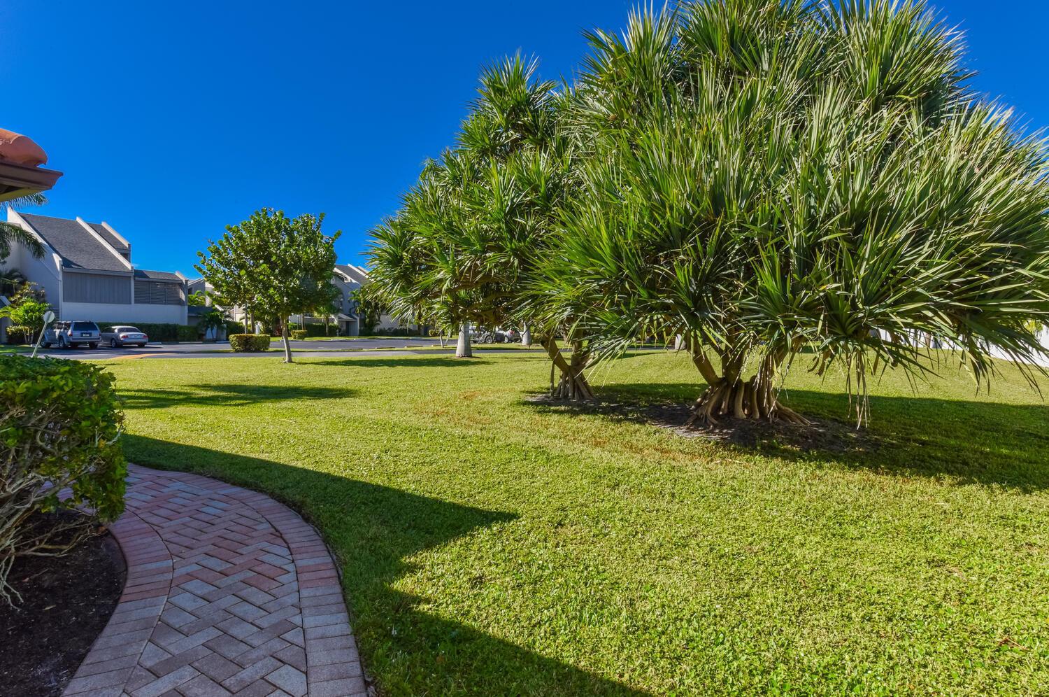 A brick walkway leads across a grassy lawn toward palm trees and residential buildings — 1469 Vía Privada, Jupiter FL 33477, JUPITER, FL