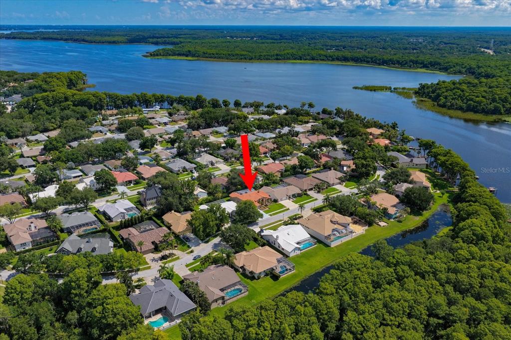 An aerial view shows a residential neighborhood with a red-roofed house marked by an arrow — 3909 TARIAN COURT, PALM HARBOR, FL