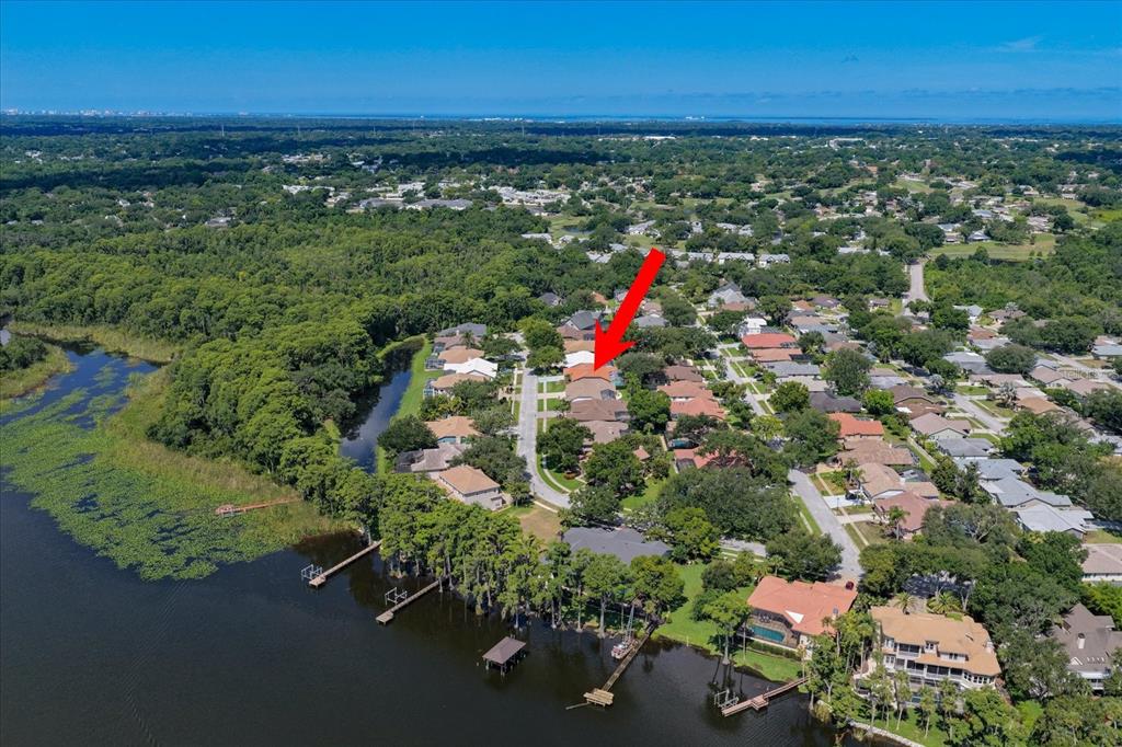 An aerial view shows a residential neighborhood with a red arrow pointing to a house — 3909 TARIAN COURT, PALM HARBOR, FL