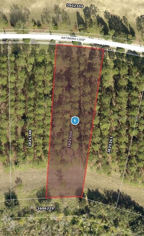 16802 ARTIMINO LOOP, BELLA COLLINA, FL — photo 2 of 11