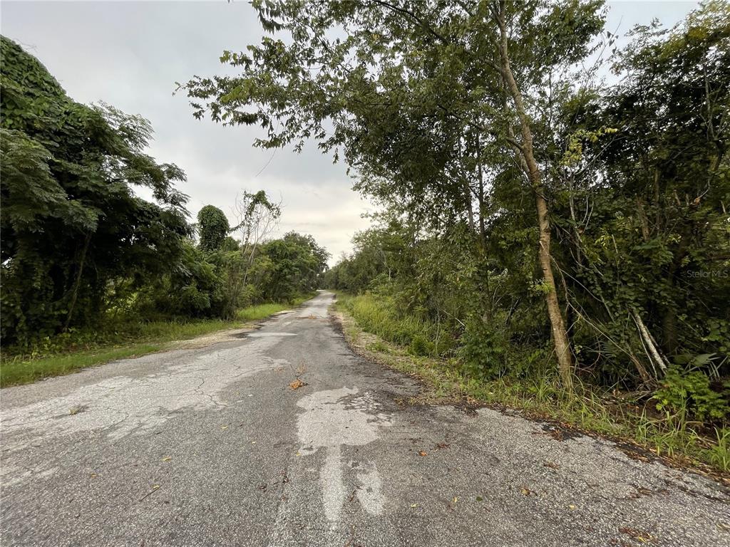 TBD HICKORY TRACK DRIVE, OCALA, FL — photo 2 of 4