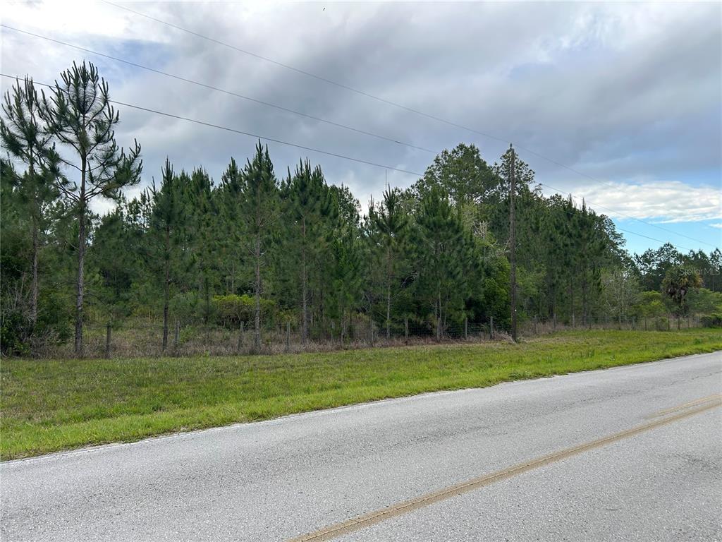 A paved road runs alongside a fenced, wooded lot under a cloudy sky — 0000 SE 60TH AVENUE, MORRISTON, FL