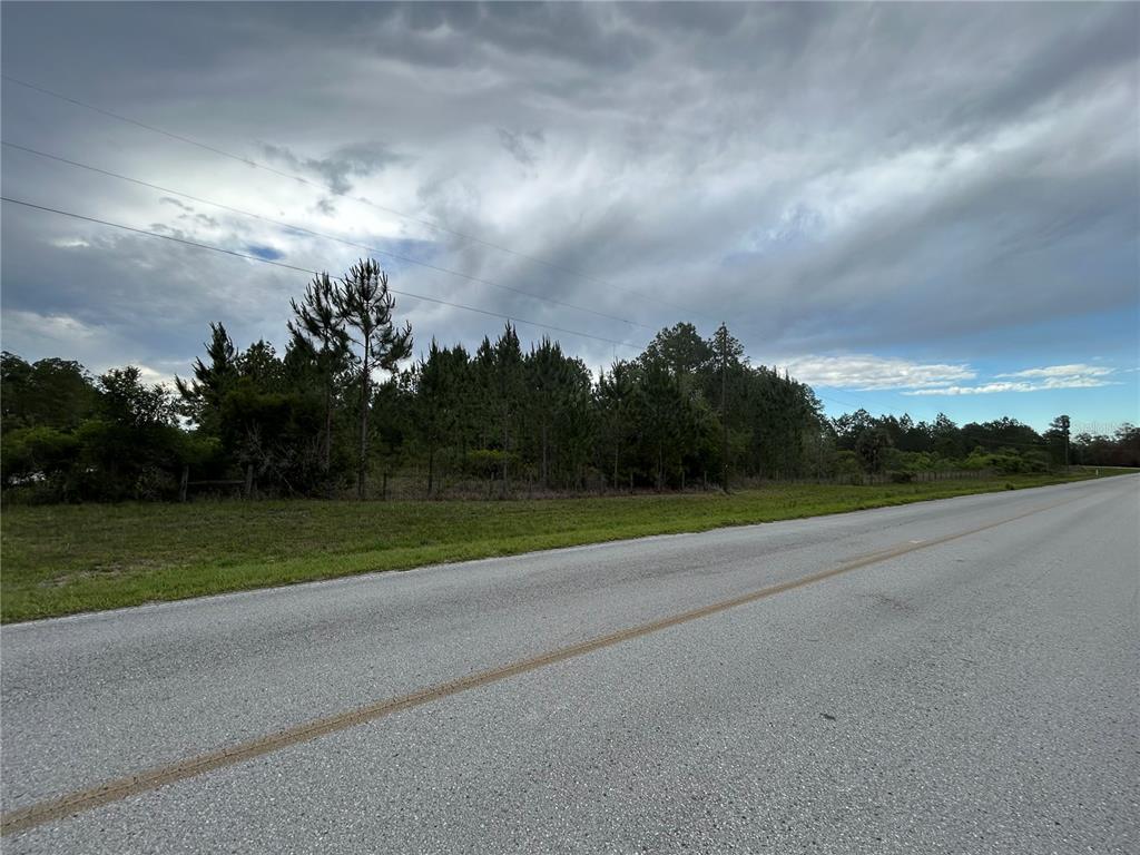 A paved road runs alongside a grassy lot with a dense line of pine trees — 0000 SE 60TH AVENUE, MORRISTON, FL