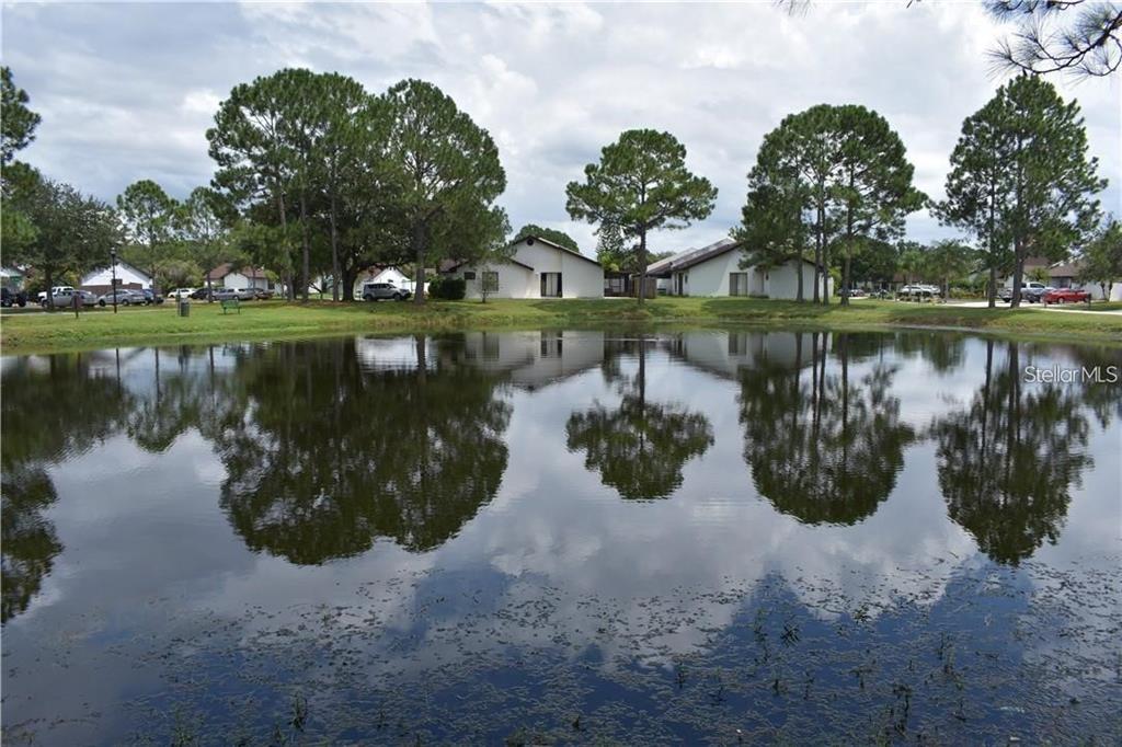 A pond reflects several single-story houses and tall pine trees under a cloudy sky — 11301 DAREWOOD PLACE, TAMPA, FL