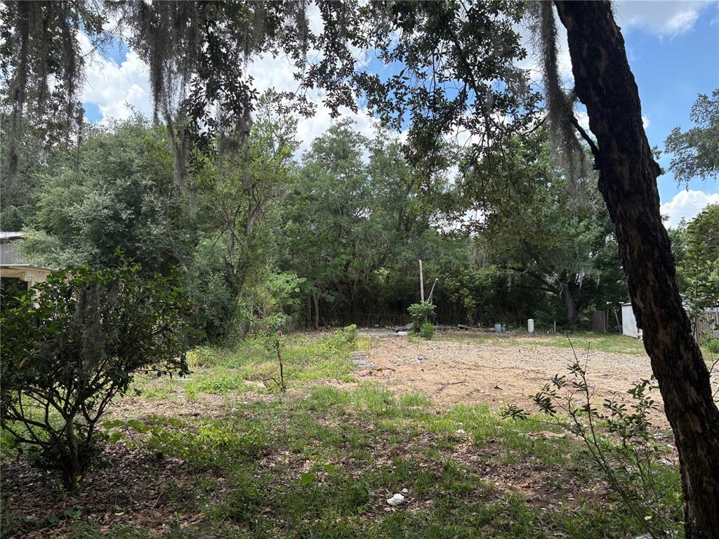 A view of a cleared, grassy lot surrounded by mature trees with hanging moss — 510 BRIAR MEADOWS DR, VALRICO, FL